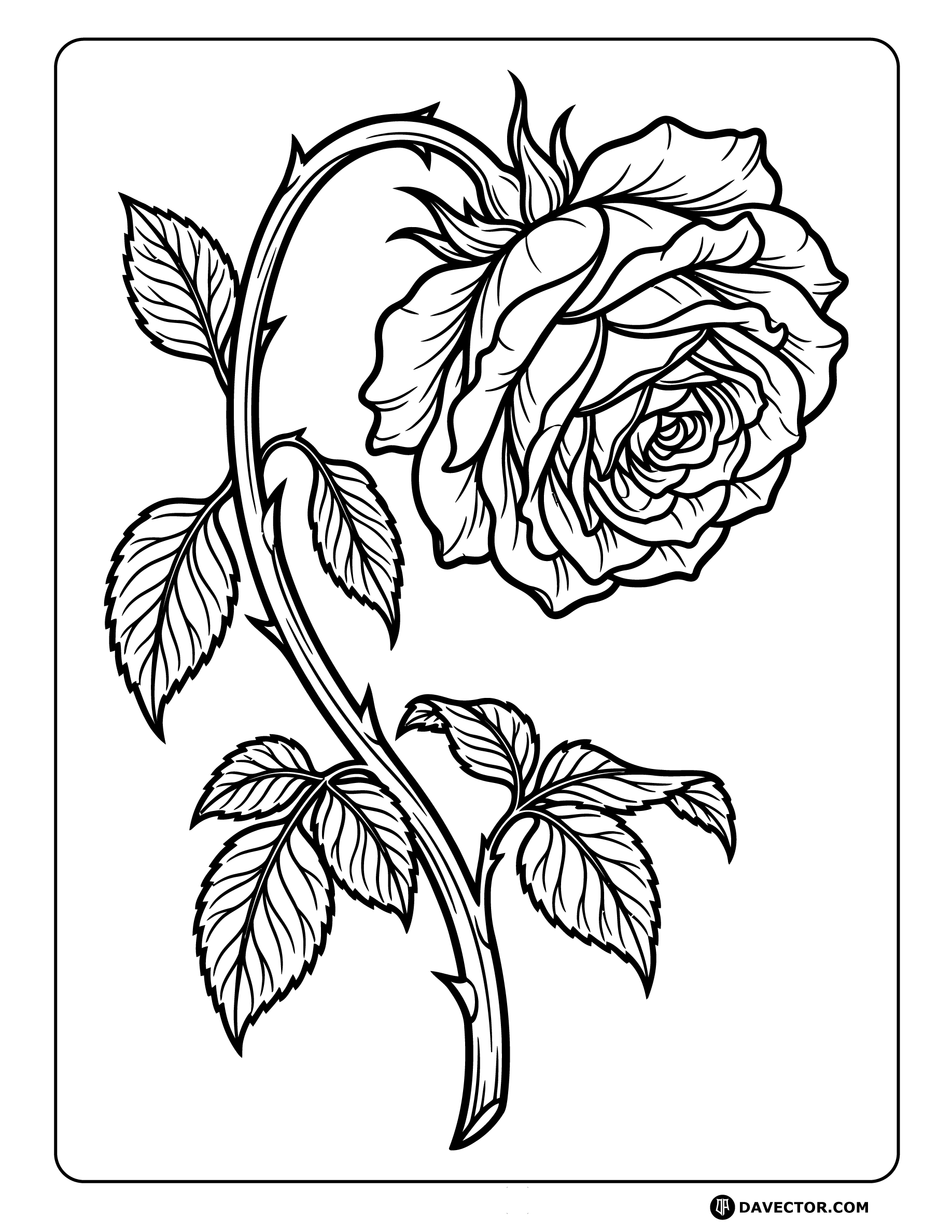 Drooping Rose Blossom Line Art — free rose coloring page