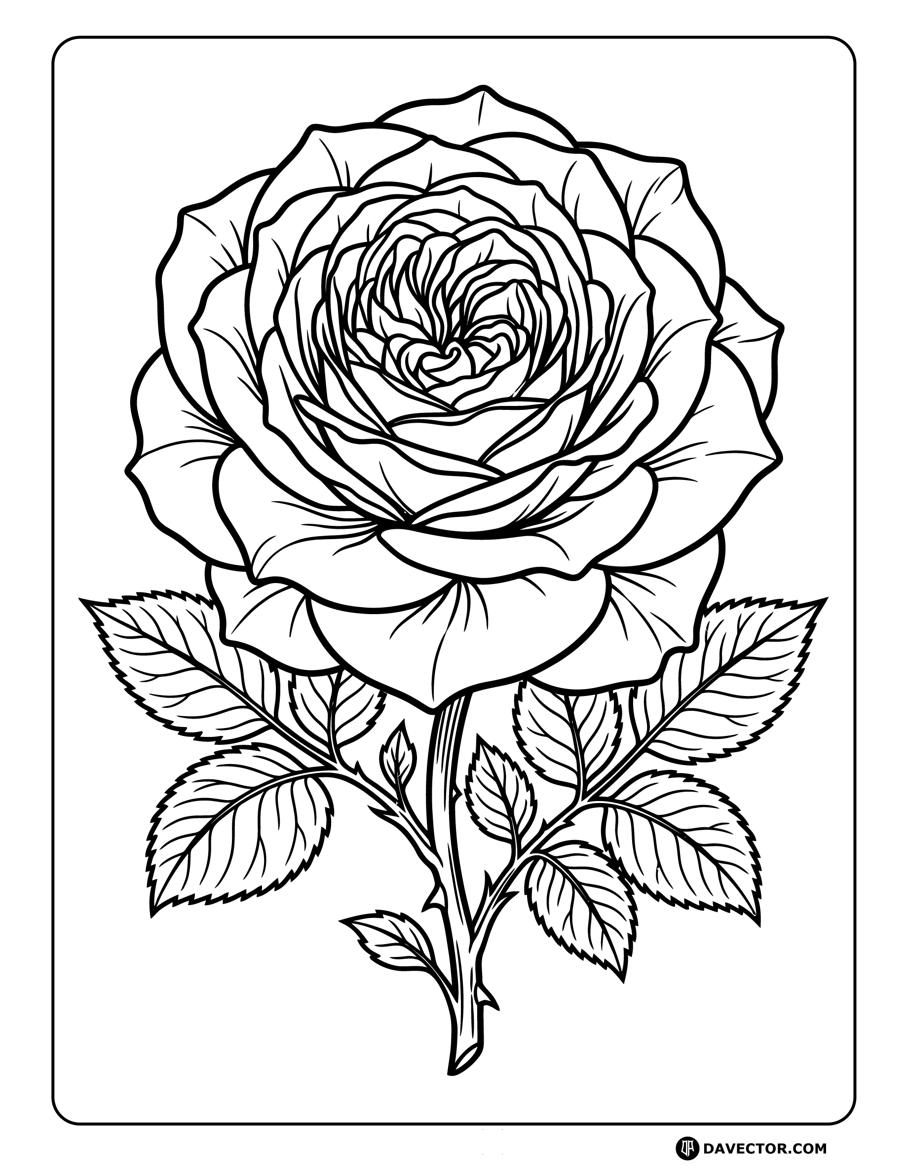 Garden Rose Line Art — free rose coloring page