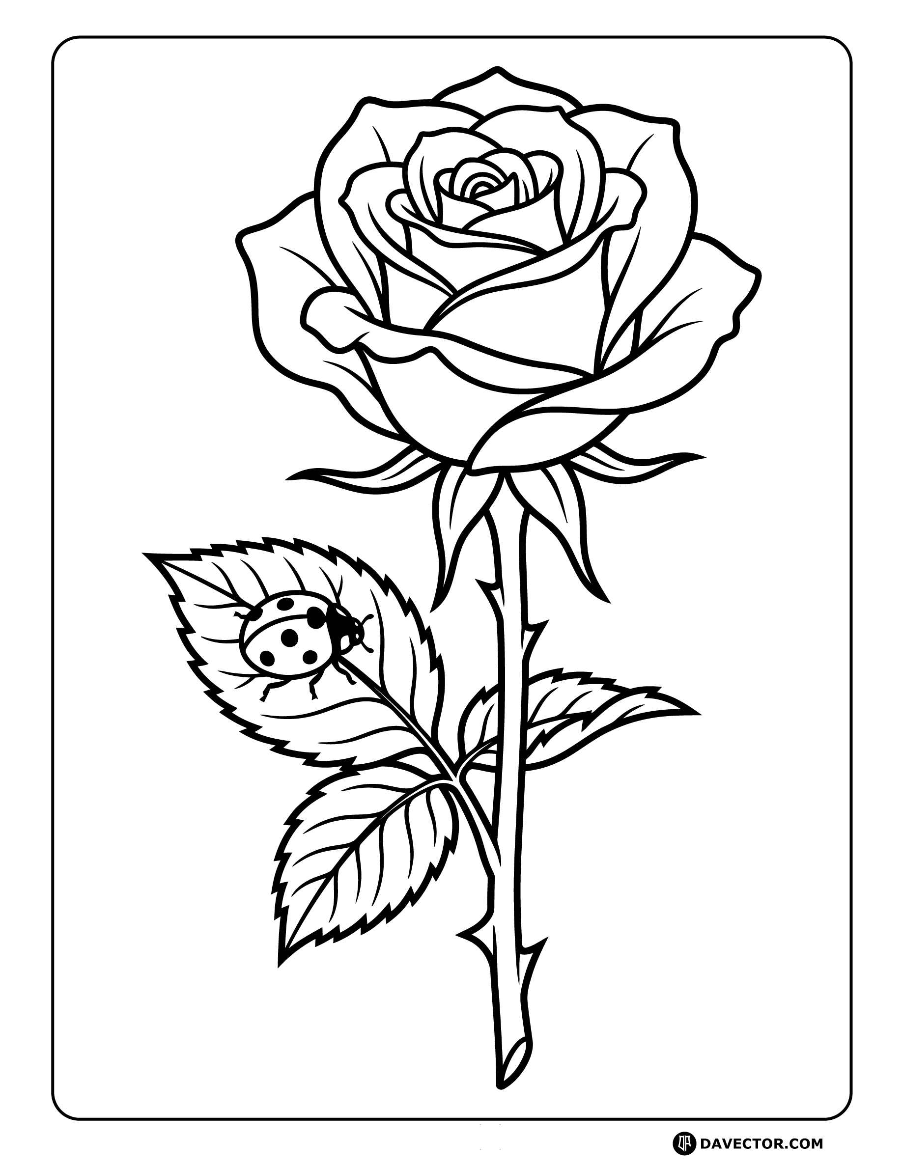 Rose And Ladybug On Leaf — free rose coloring page