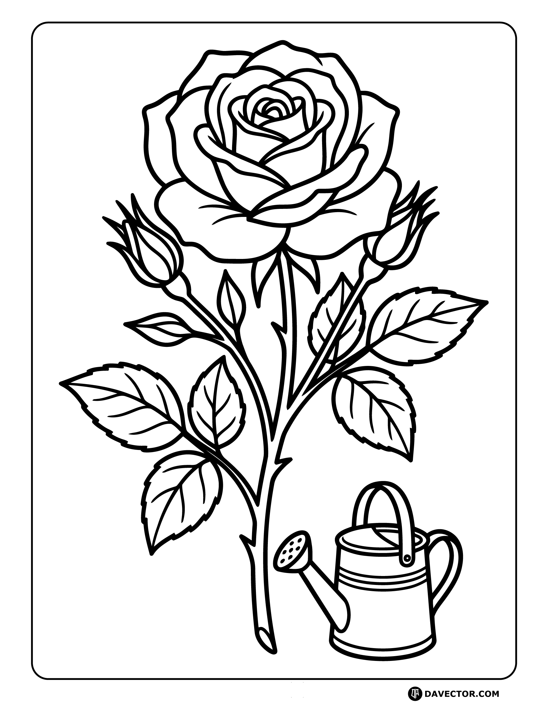 Rose And Watering Can — free rose coloring page
