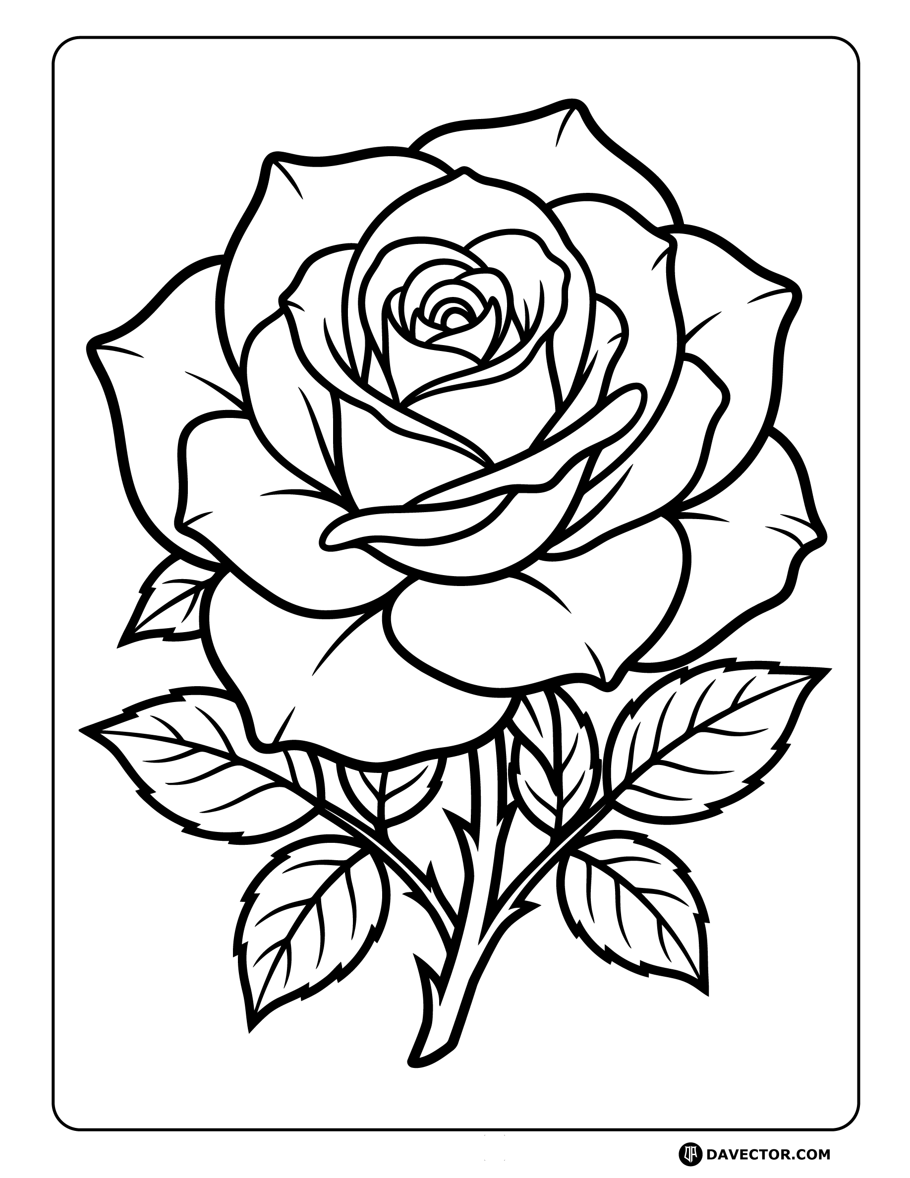 Rose Blooming With Open Petals — free rose coloring page