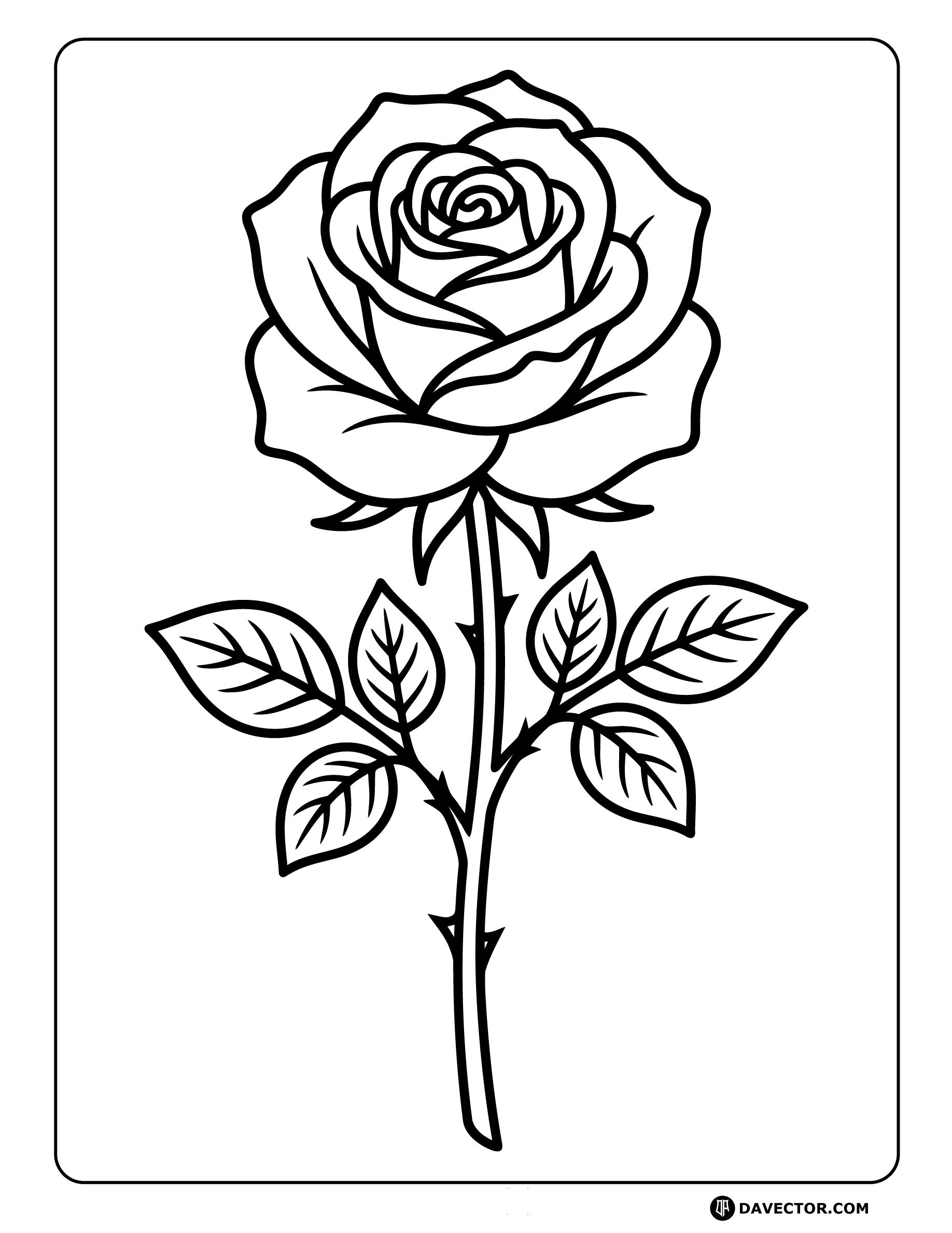 Rose Blossoming Upward Clean Stem — free rose coloring page