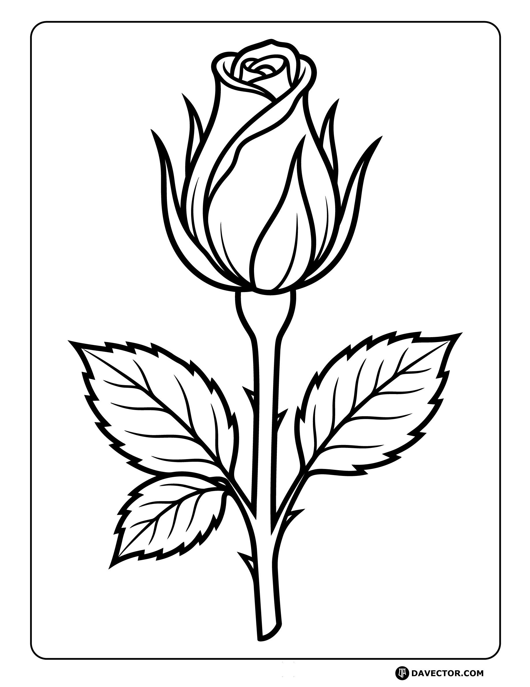 Rose Bud Opening — free rose coloring page