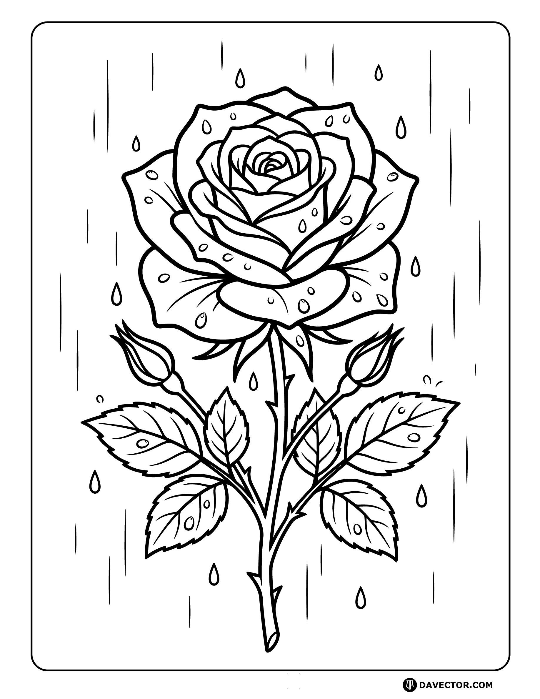 Rose In Spring Rain — free rose coloring page