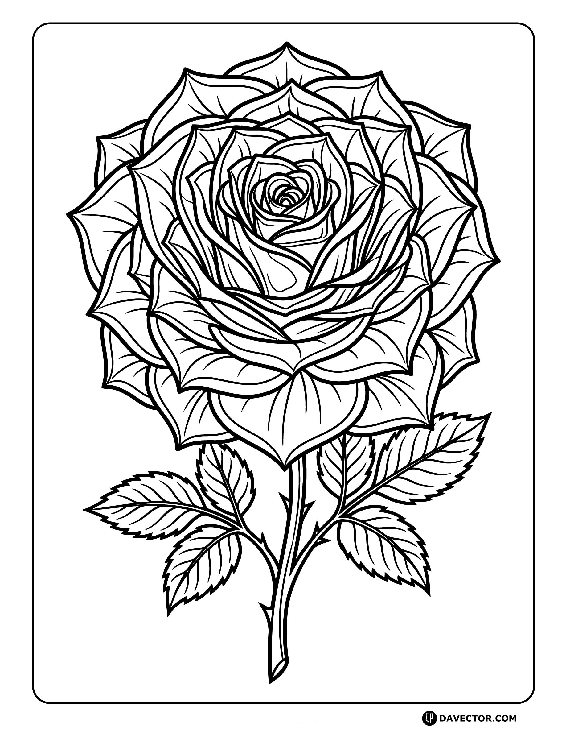 Rose Line Art — free rose coloring page