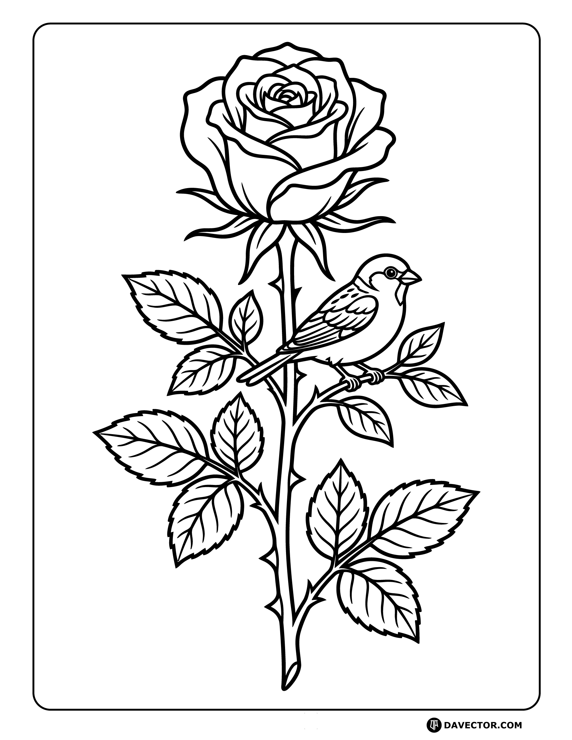 Rose With Bird — free rose coloring page