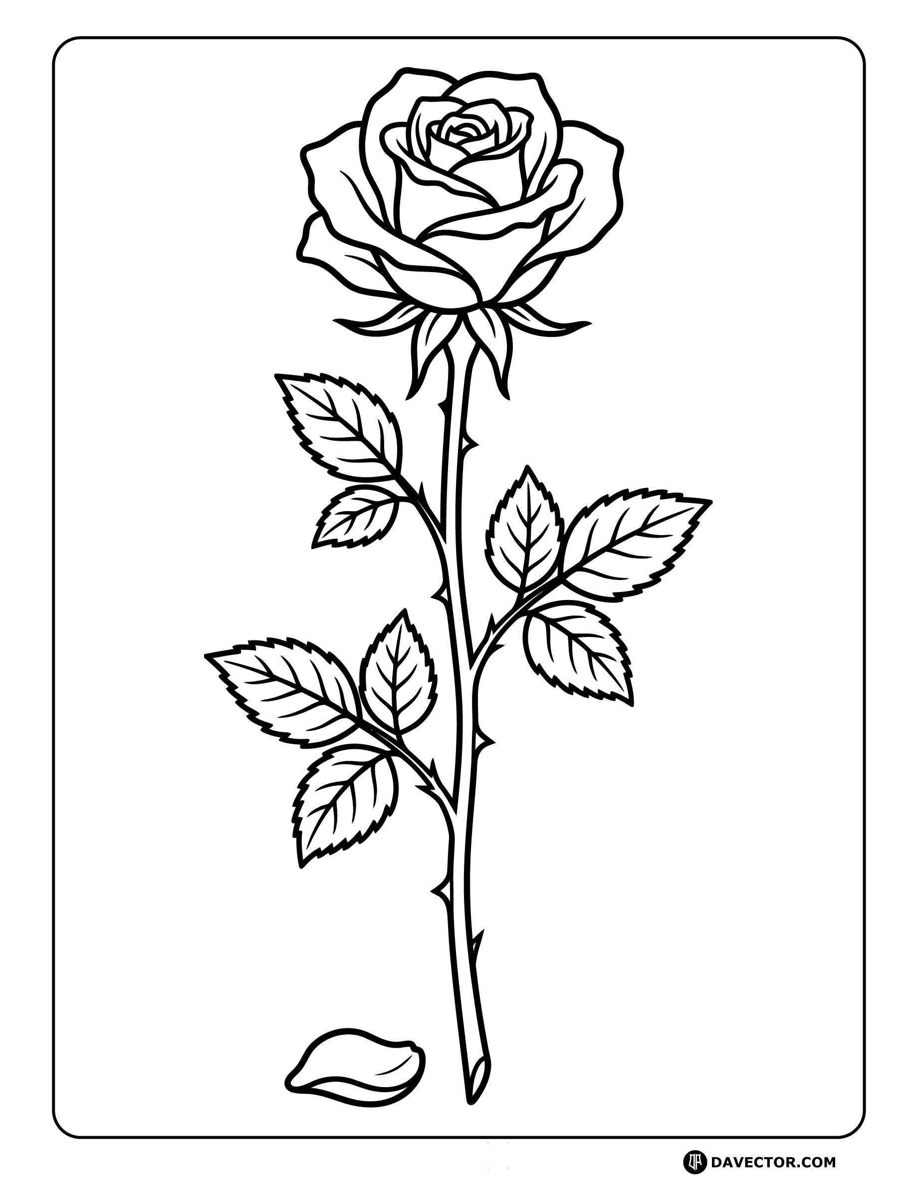 Rose With Fallen Petal — free rose coloring page