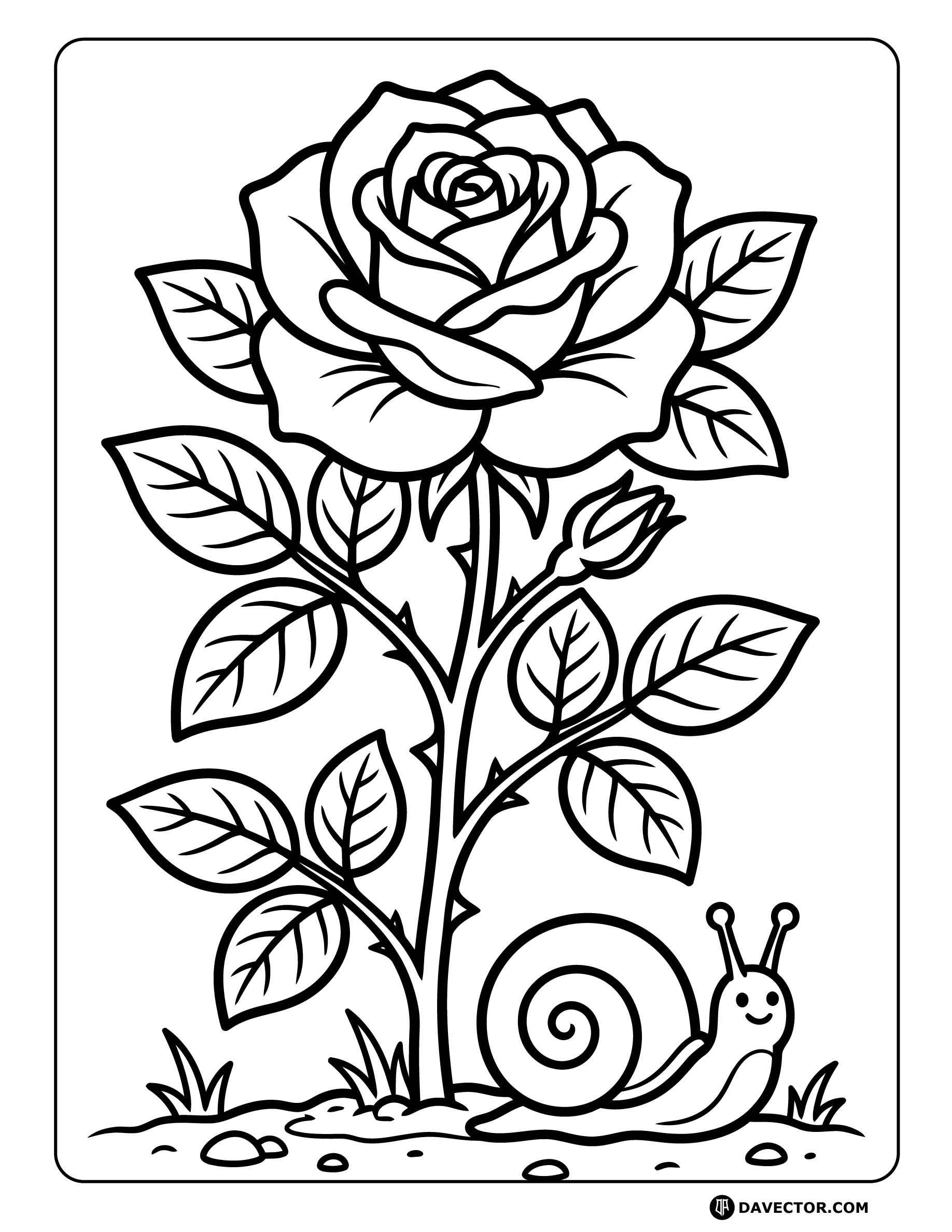 Rose With Snail On Ground — free rose coloring page