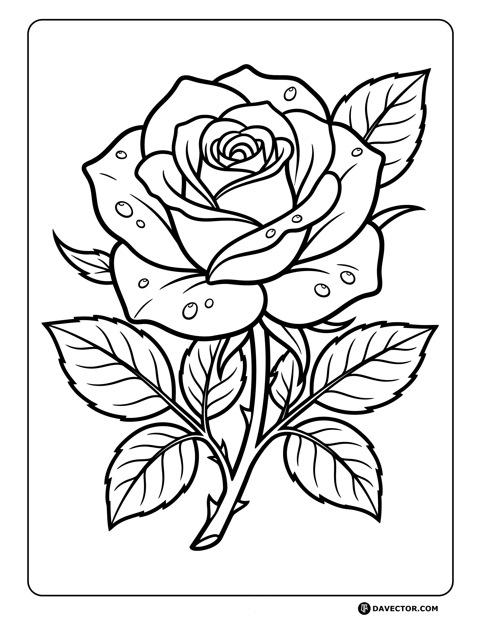 Rose With Water Droplets — free rose coloring page