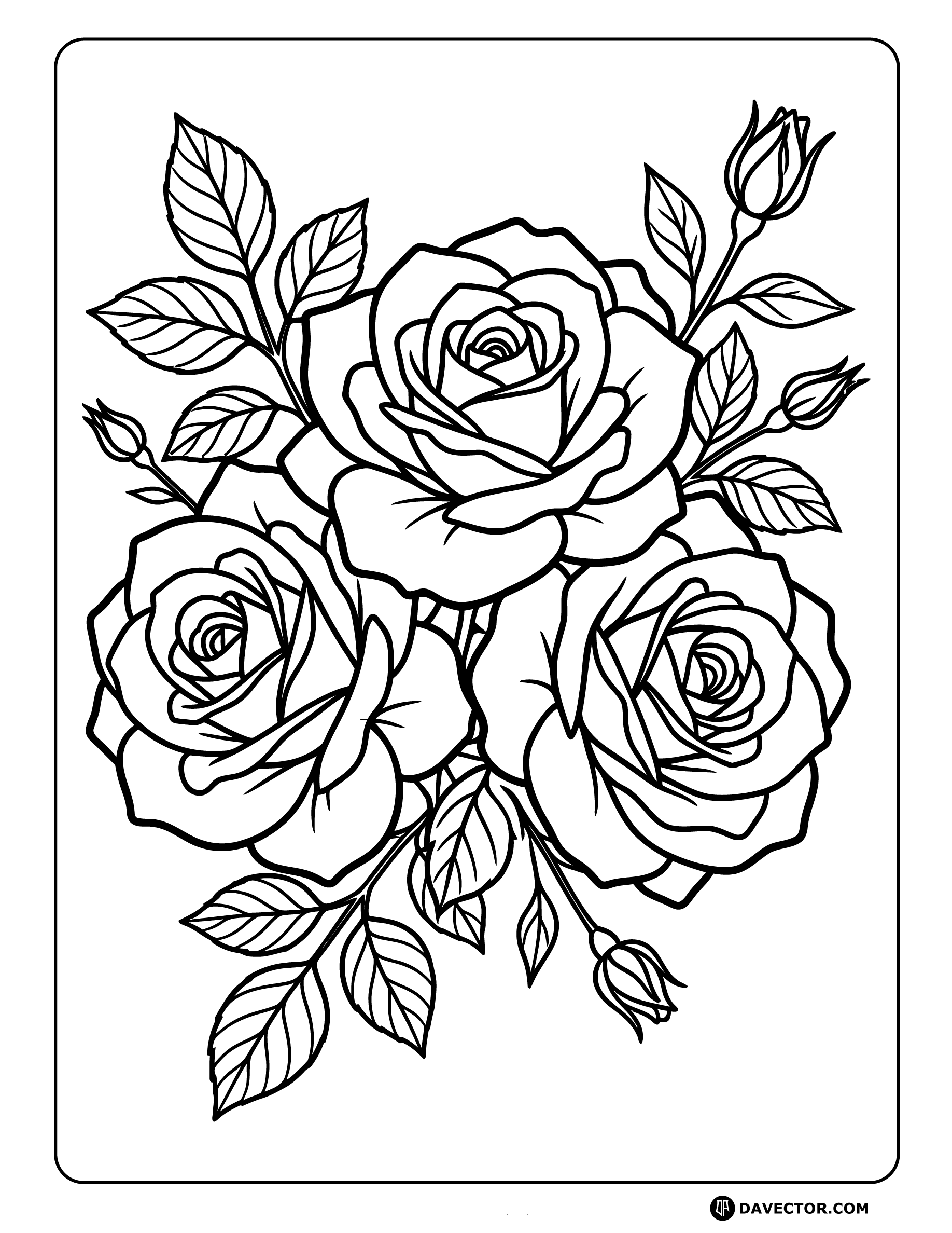 Three Blooming Roses Line Art — free rose coloring page